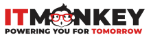 IT Monkey Logo